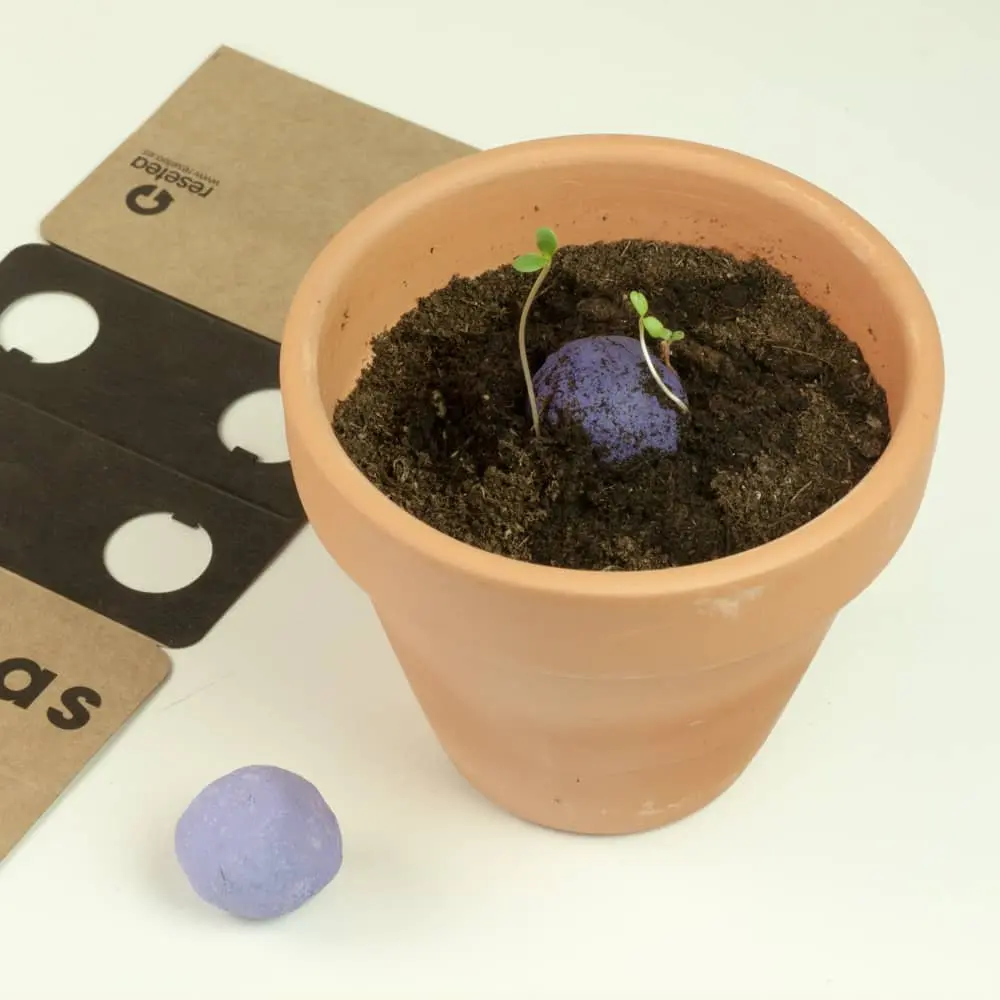 Bombas de semillas de biodiversidad