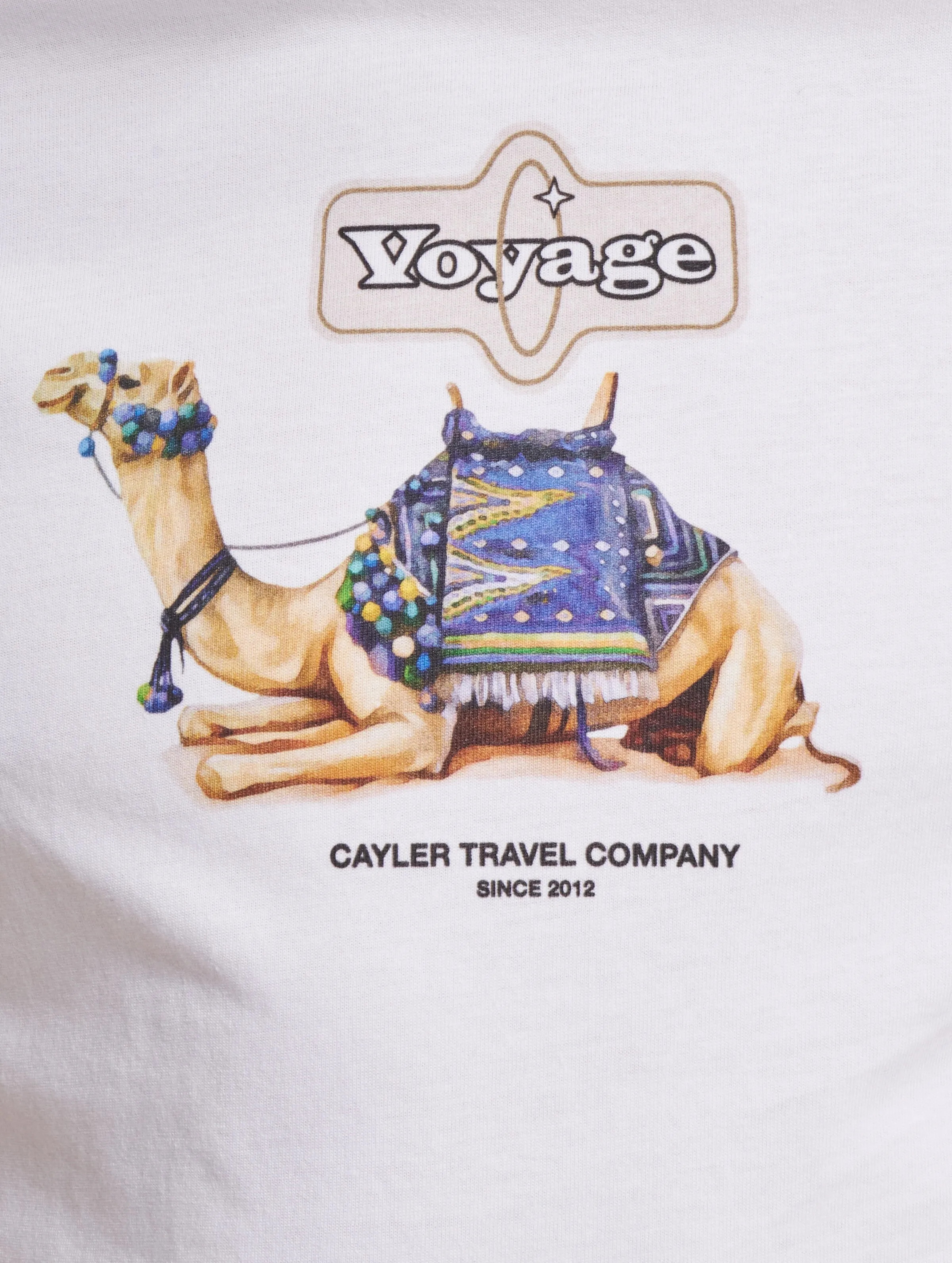CAYLER & SONS CAYLER & SONS VOYAGE TSHIRT