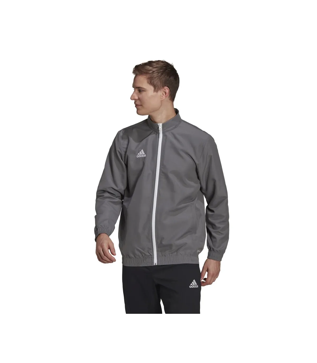 Chaqueta Adidas Entrada 22 Presentation