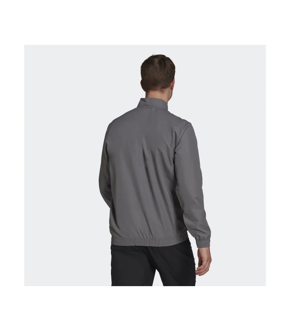 Chaqueta Adidas Entrada 22 Presentation