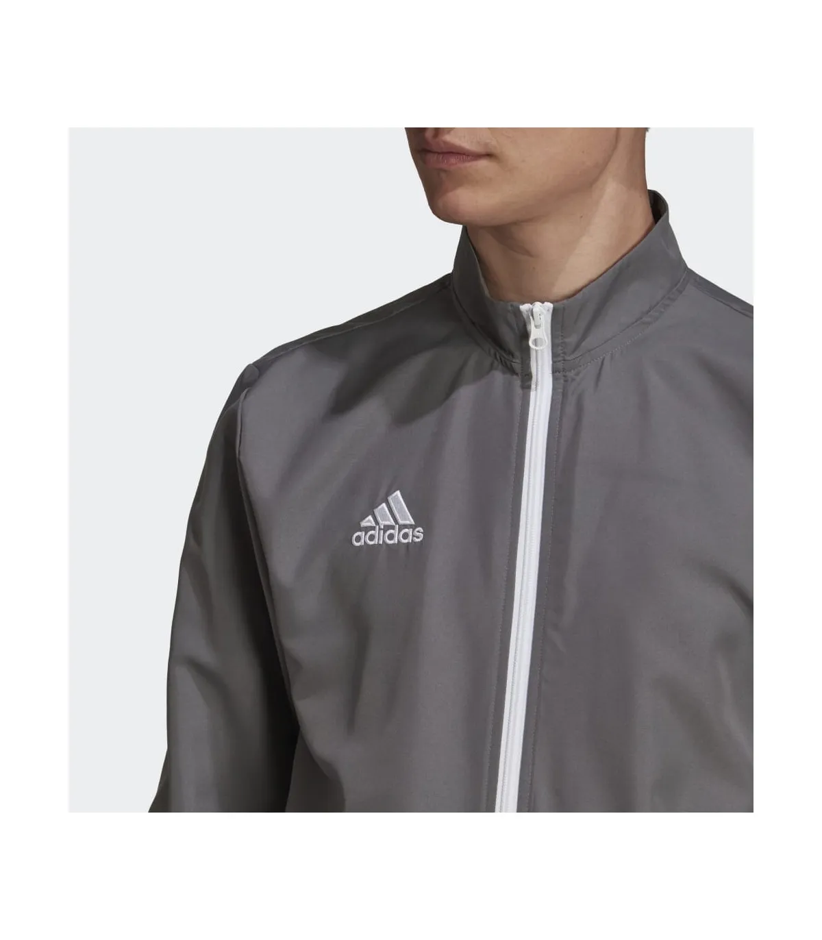 Chaqueta Adidas Entrada 22 Presentation