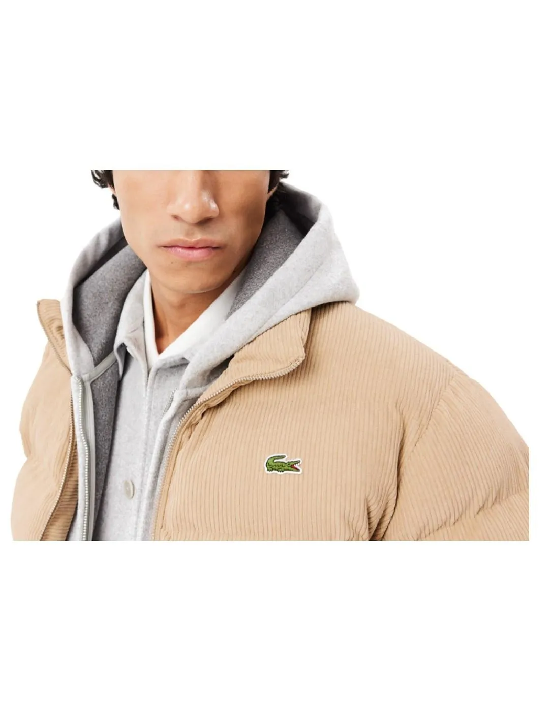 Chaqueta Blouson Lacoste