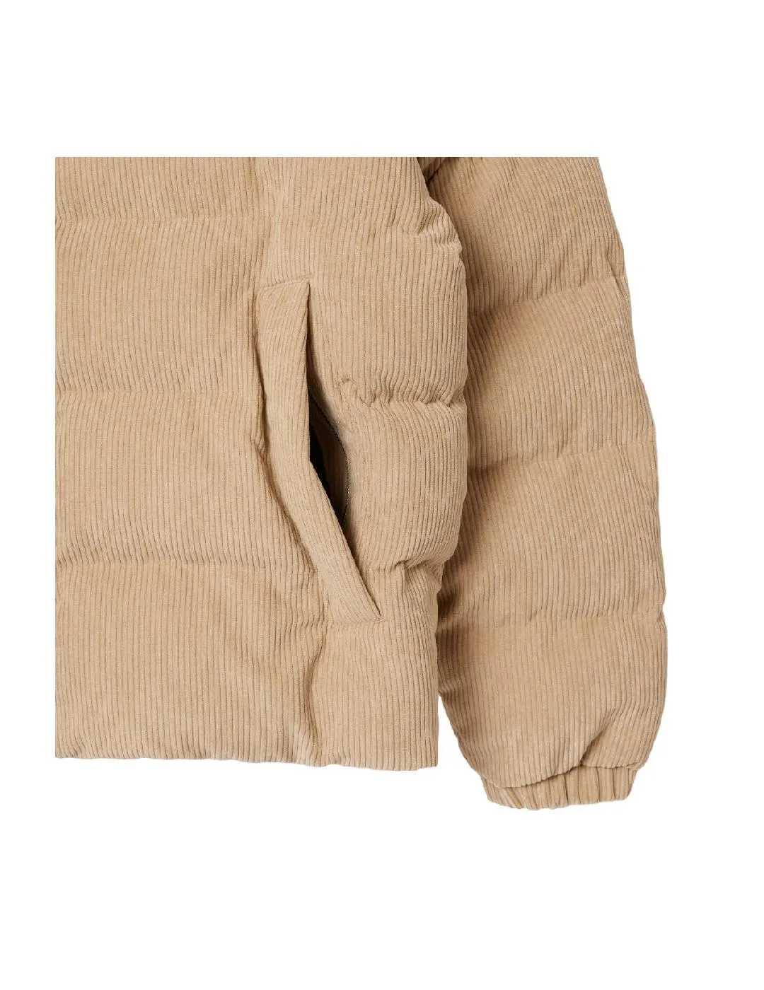 Chaqueta Blouson Lacoste