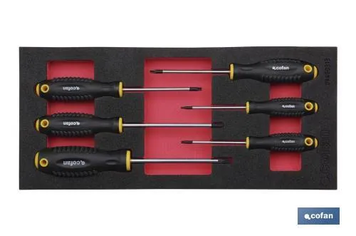 Módulo de espuma con herramientas  | Para 1/3 cajón del carro de herramientas cofan | Destornilladores torx 6 piezas