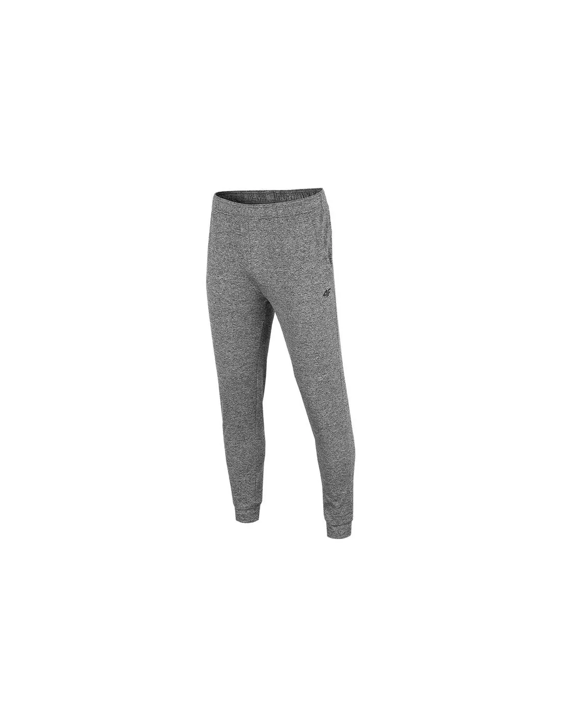 Pantalones de traning 4F Functional gris Hombre