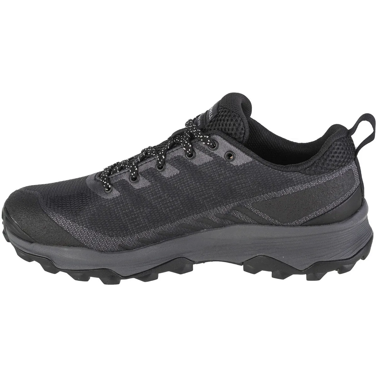 Speed Ecco