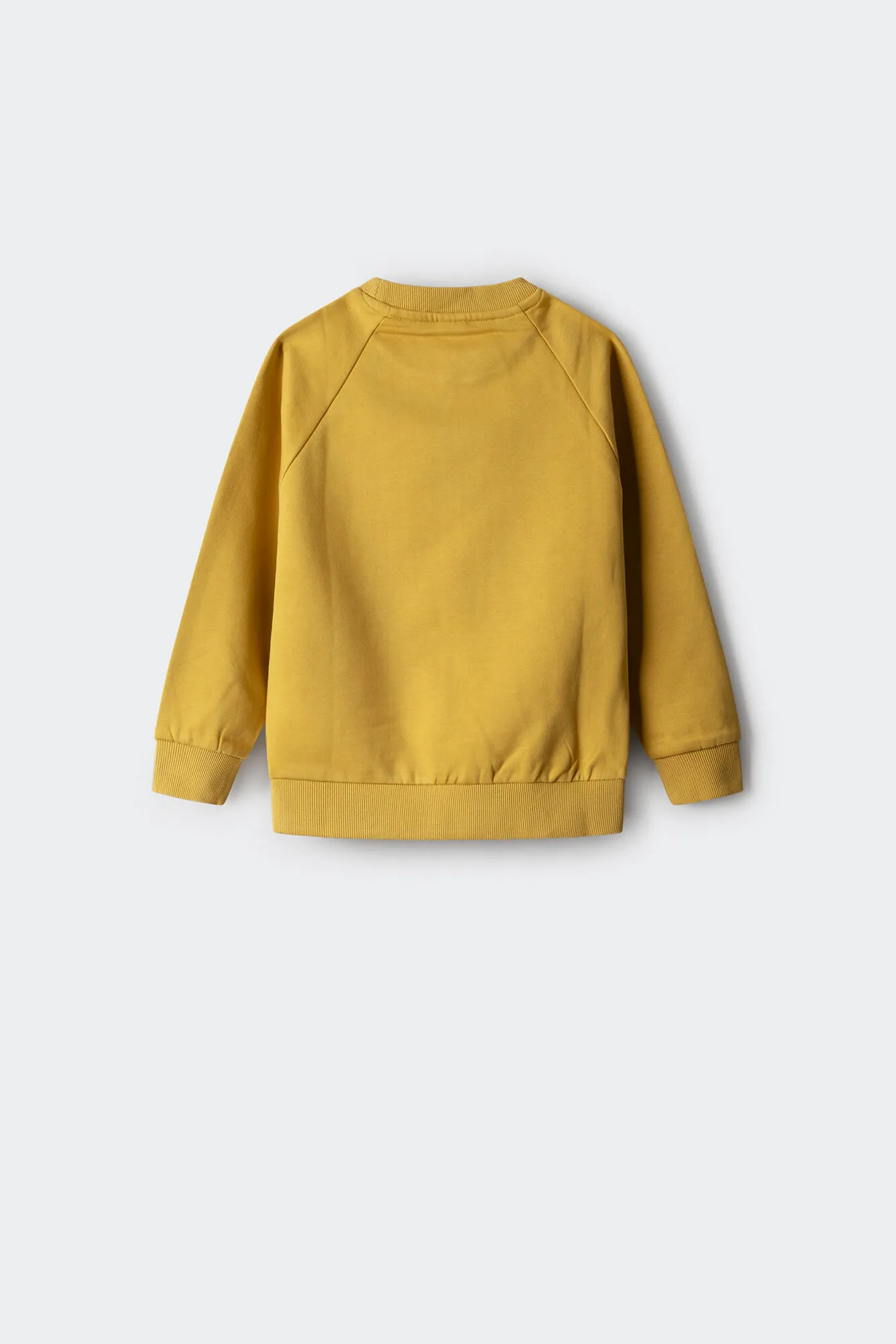 Springfield Kids Sudadera Surf niño