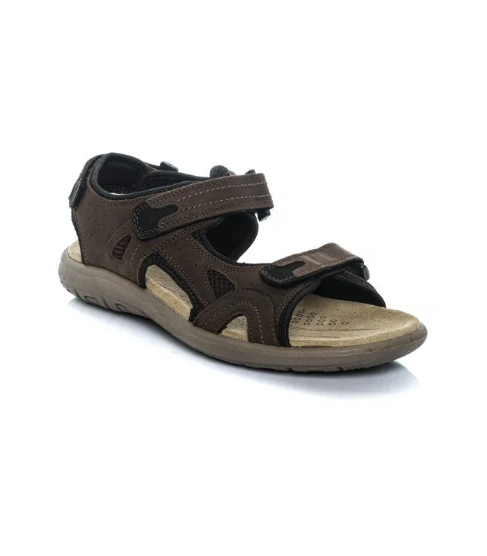 ST.GALLEN ANETO Marron