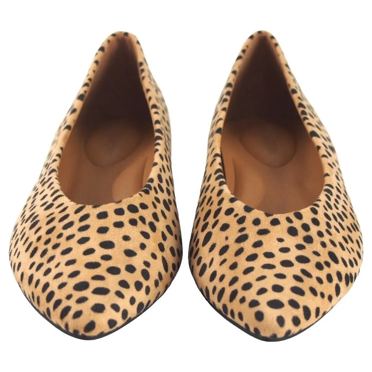 Zapato señora  hf2486 tostado